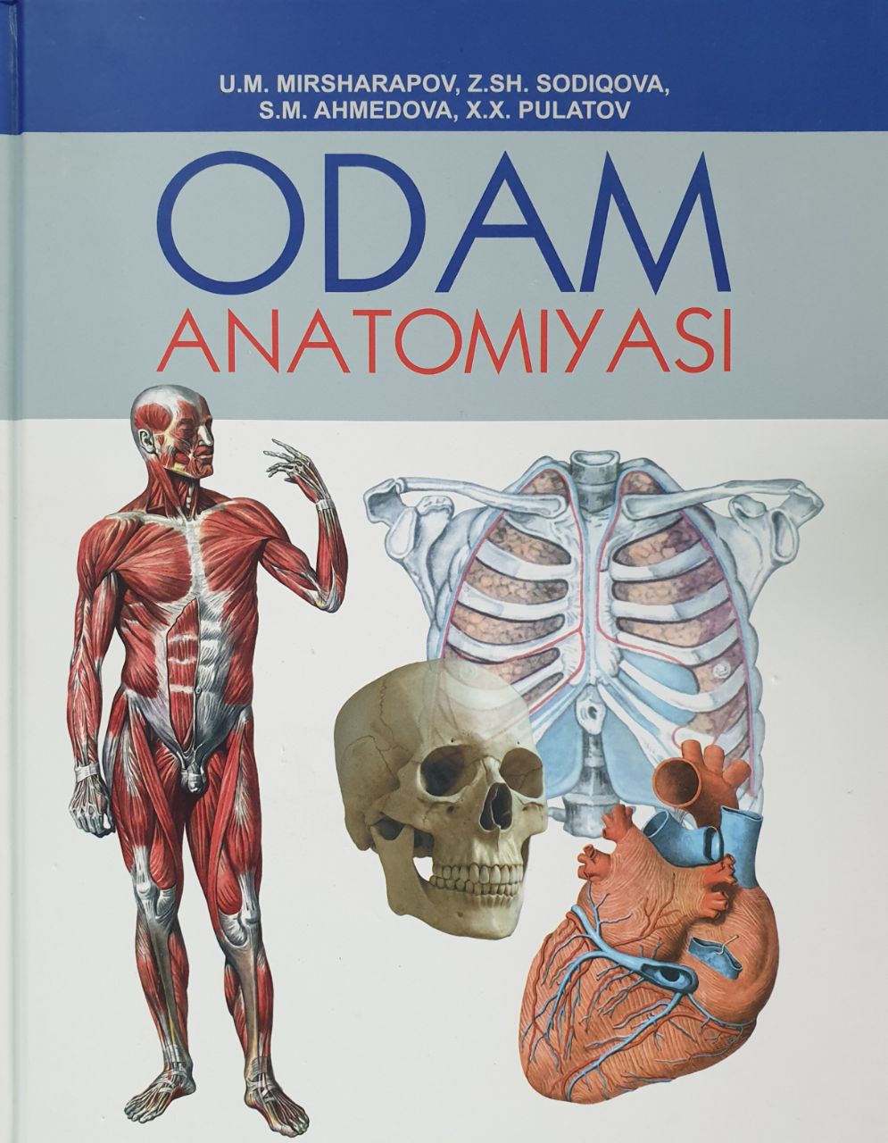 Odam anatomiyasi (А4.5, qattiq) 528 bet